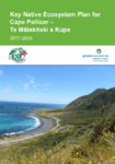 Key Native Ecosystem Plan for Cape Palliser - Te Matakitaki a Kupe 2017-2020 preview