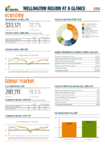 Wellington Region 2018 Economic Overview preview