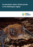 Conservation status of bat species in the Wellington region preview