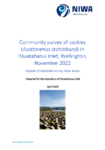 Community survey of cockles (Austrovenus stutchburyi) in Pāuatahanui Inlet, Wellington, November 2022 preview