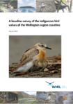 A baseline survey of the indigenous bird values of the Wellington region coastline preview