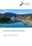 NZEIR Economic Assessment of Climate Resilience Flood Risk Mitigation preview
