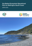 Key Native Ecosystem Operational Plan for Wellington South Coast 2025-2030 preview