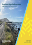Regional Snapshot of Adaptation Preparedness 2025 preview